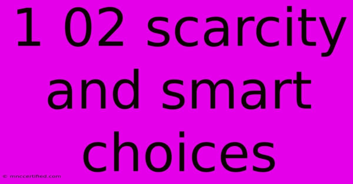 1 02 Scarcity And Smart Choices