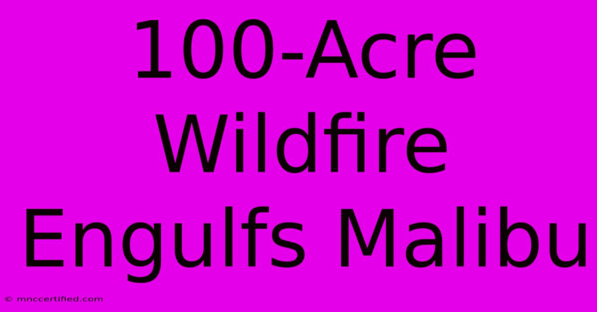 100-Acre Wildfire Engulfs Malibu