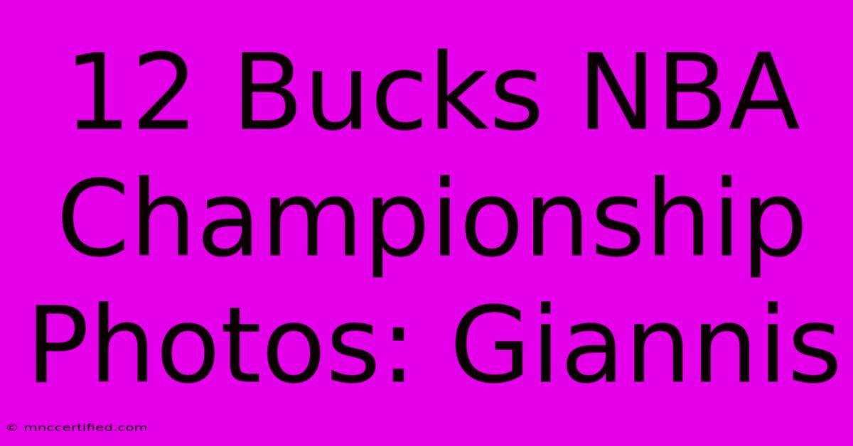 12 Bucks NBA Championship Photos: Giannis