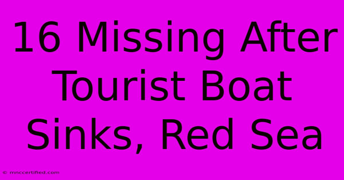 16 Missing After Tourist Boat Sinks, Red Sea