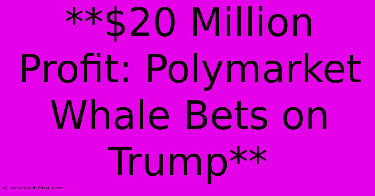 **$20 Million Profit: Polymarket Whale Bets On Trump**