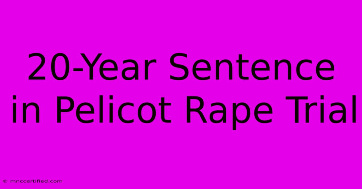 20-Year Sentence In Pelicot Rape Trial