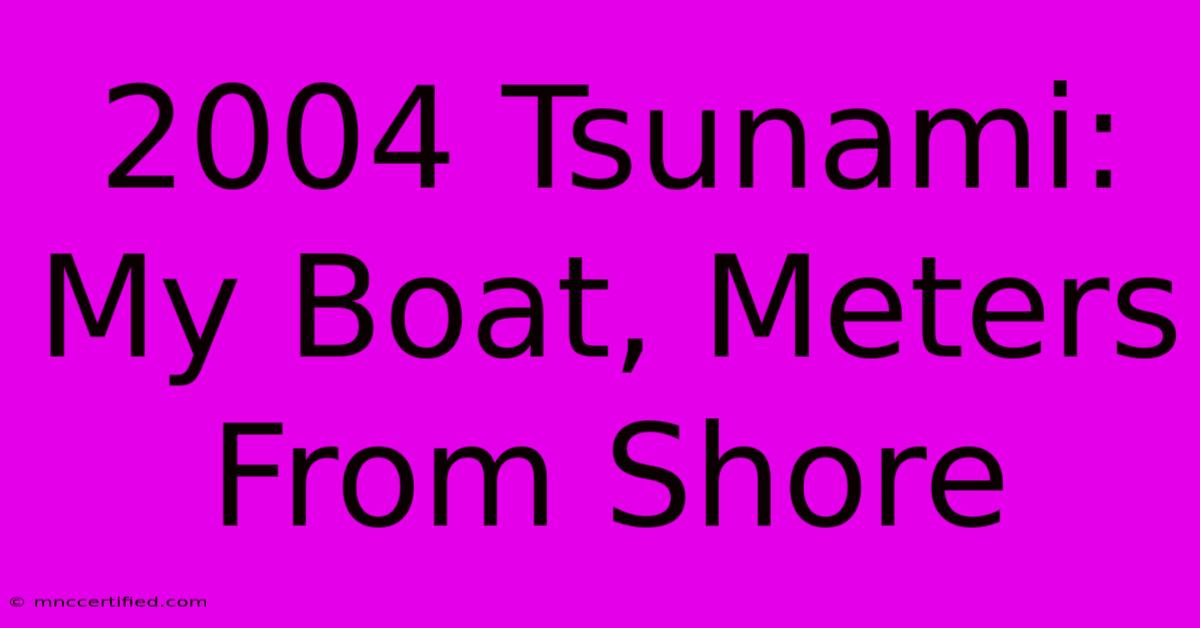 2004 Tsunami: My Boat, Meters From Shore