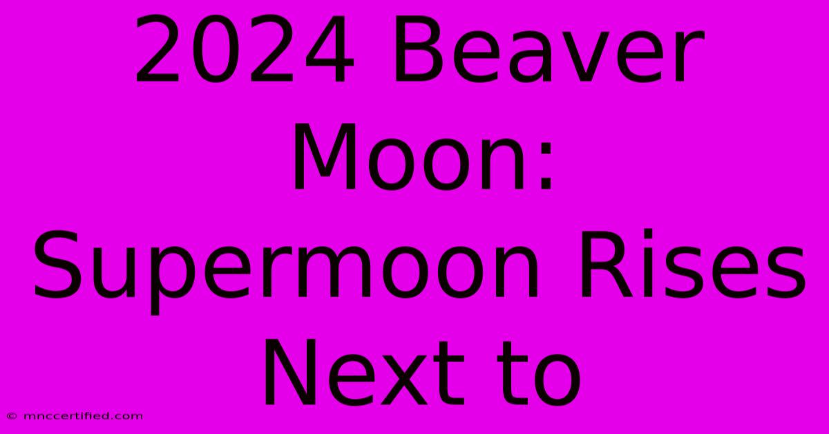 2024 Beaver Moon: Supermoon Rises Next To  