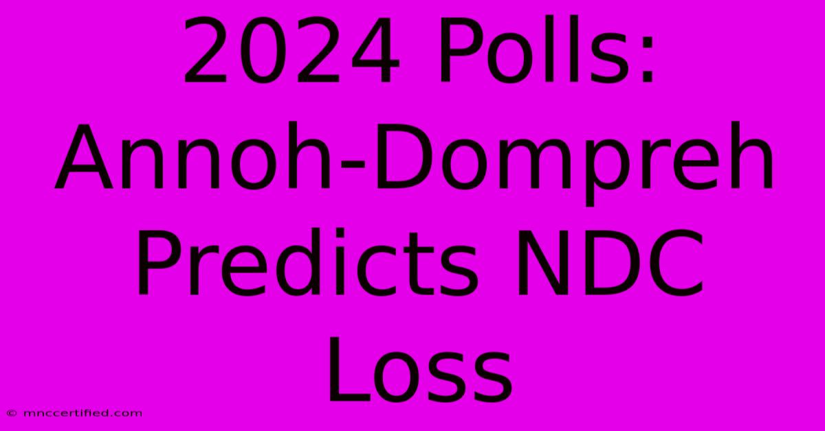 2024 Polls: Annoh-Dompreh Predicts NDC Loss