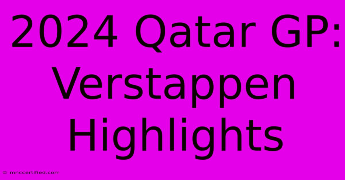 2024 Qatar GP: Verstappen Highlights