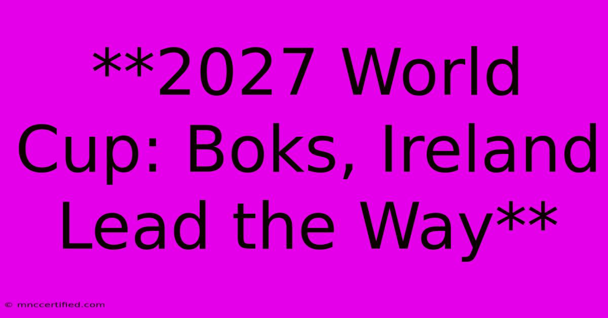 **2027 World Cup: Boks, Ireland Lead The Way**