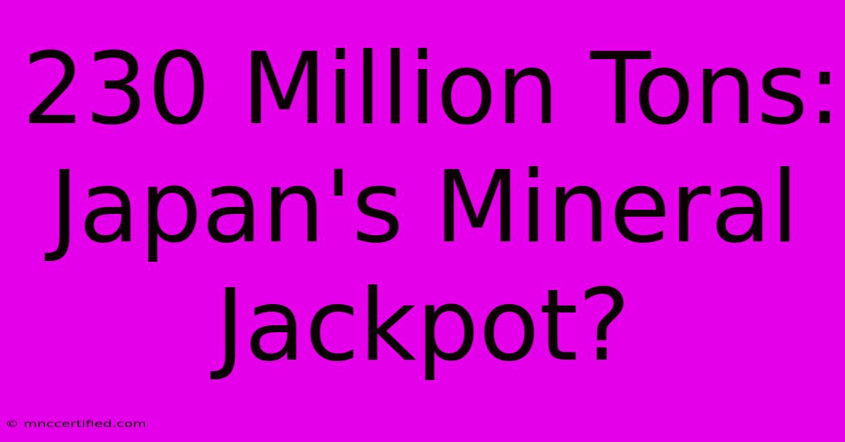 230 Million Tons: Japan's Mineral Jackpot?