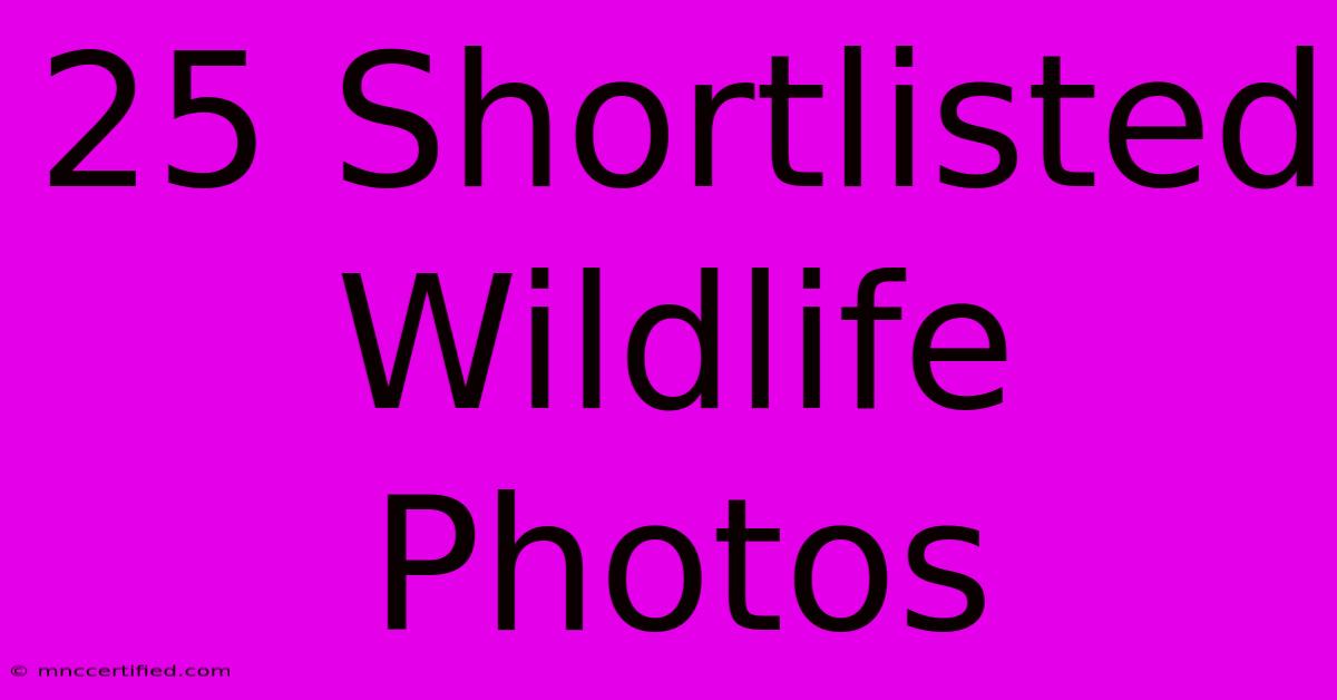 25 Shortlisted Wildlife Photos