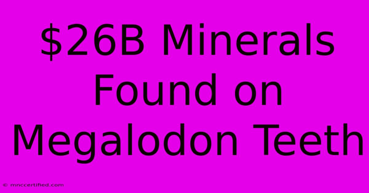 $26B Minerals Found On Megalodon Teeth