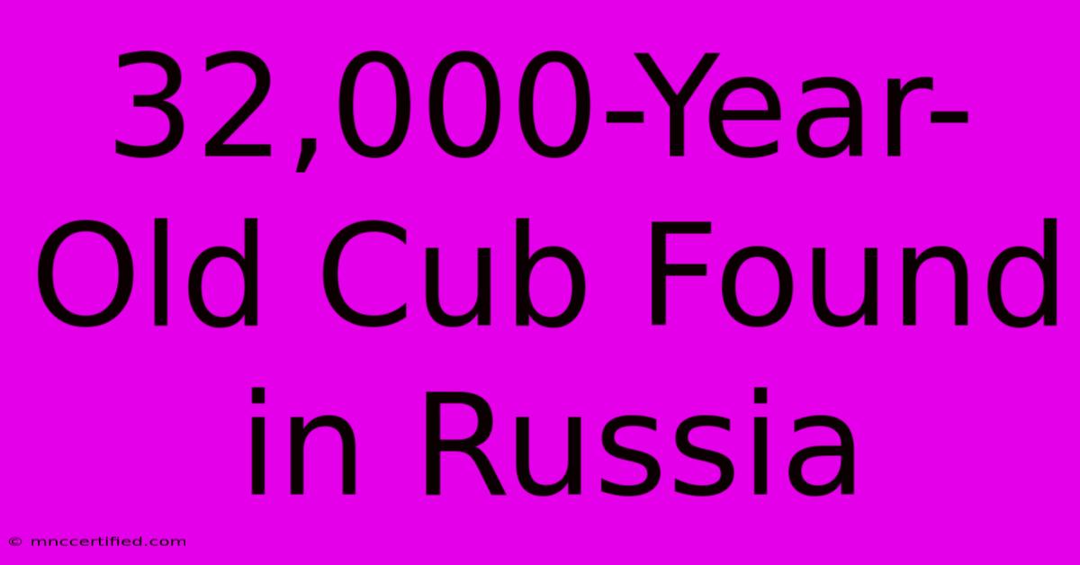 32,000-Year-Old Cub Found In Russia