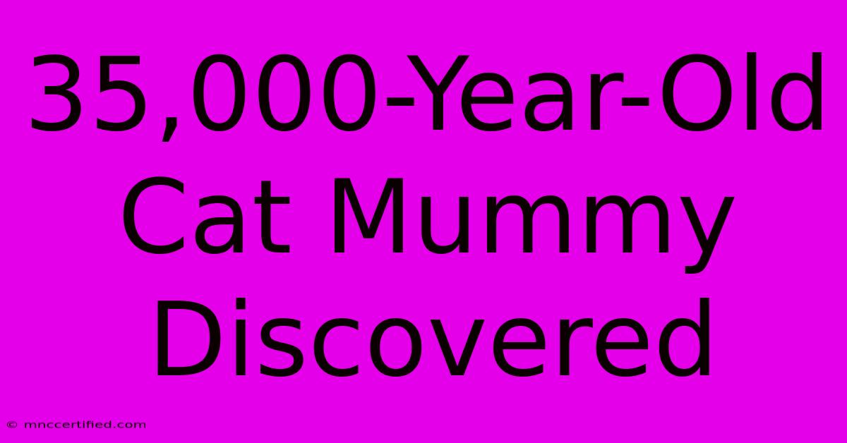 35,000-Year-Old Cat Mummy Discovered