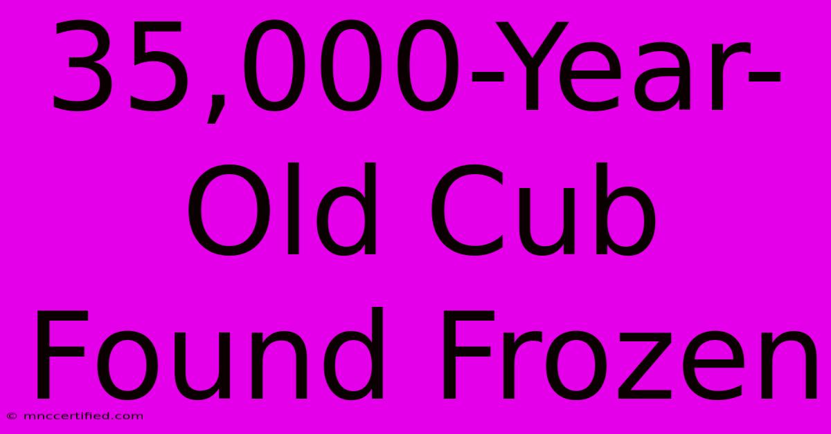 35,000-Year-Old Cub Found Frozen