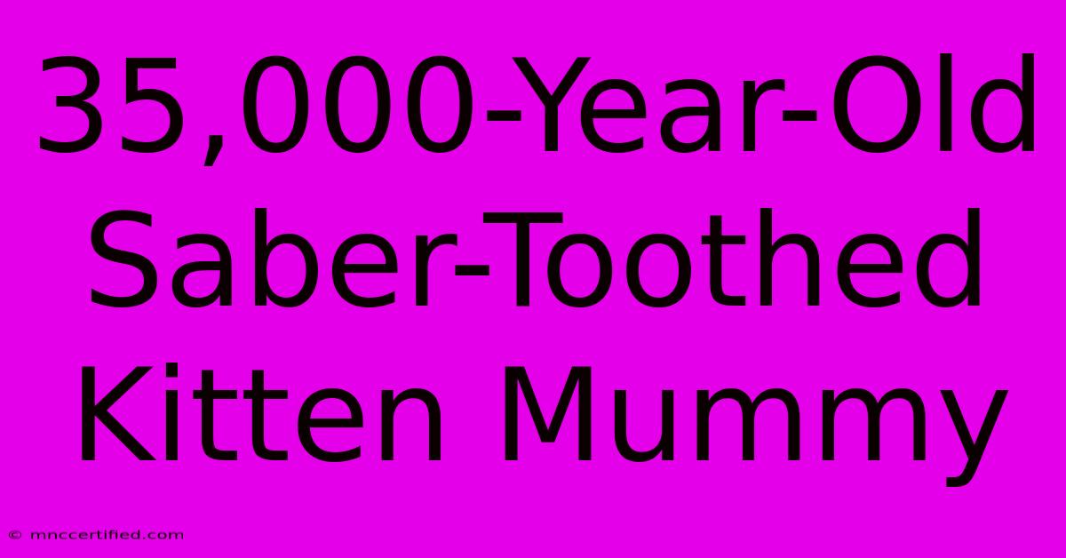 35,000-Year-Old Saber-Toothed Kitten Mummy