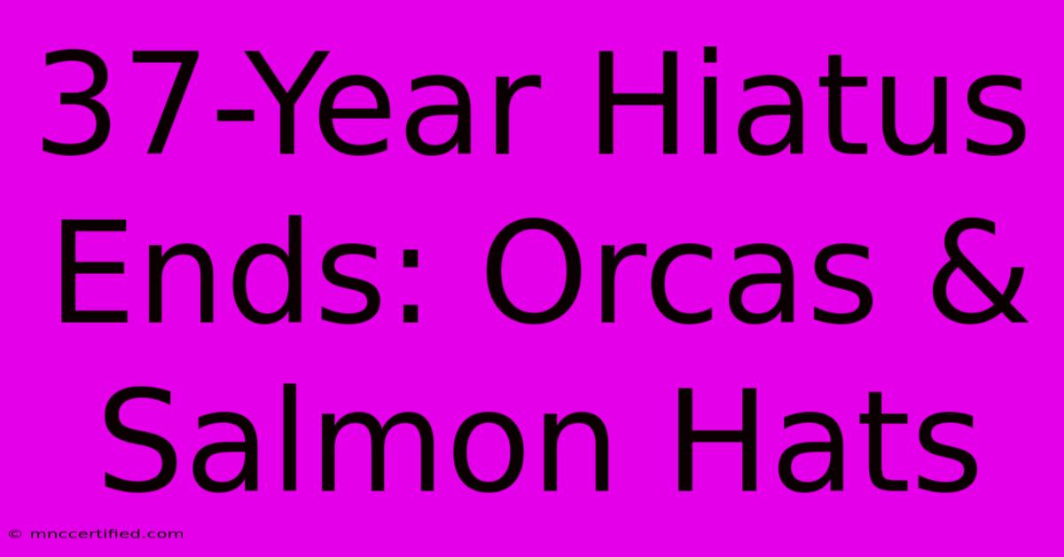 37-Year Hiatus Ends: Orcas & Salmon Hats