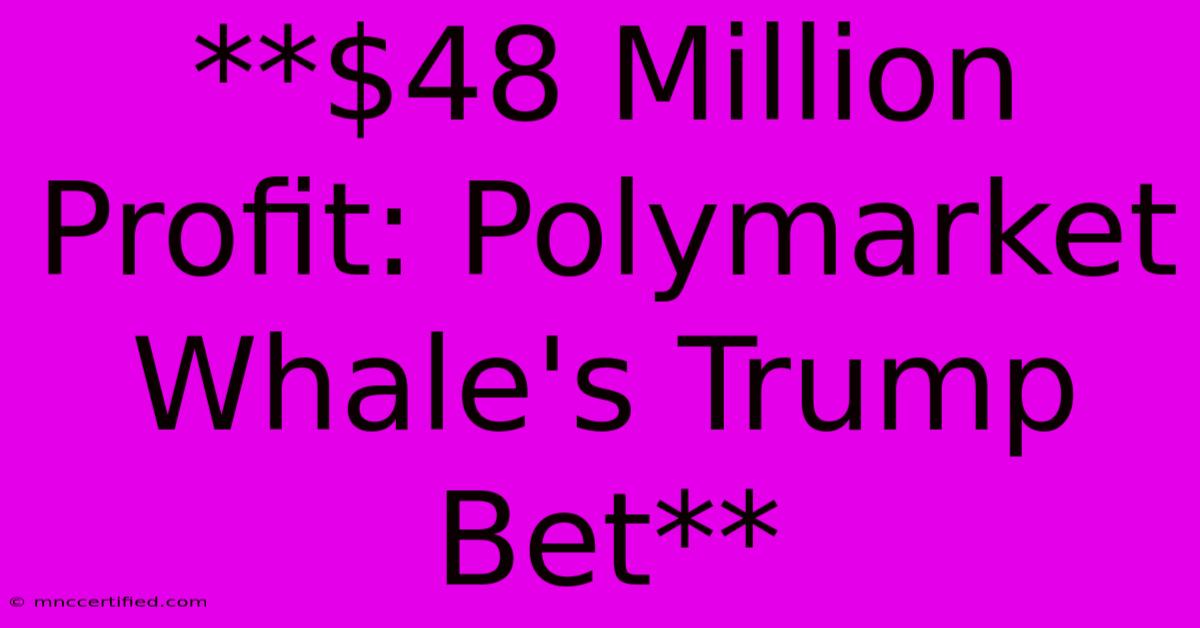 **$48 Million Profit: Polymarket Whale's Trump Bet**