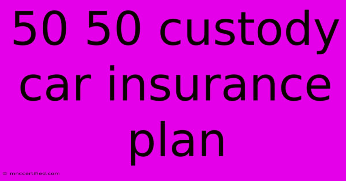 50 50 Custody Car Insurance Plan