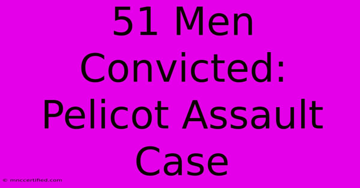 51 Men Convicted: Pelicot Assault Case