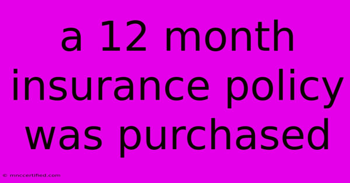 A 12 Month Insurance Policy Was Purchased