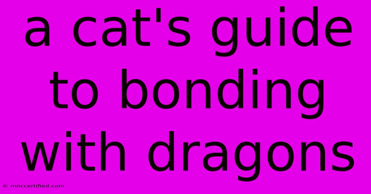 A Cat's Guide To Bonding With Dragons