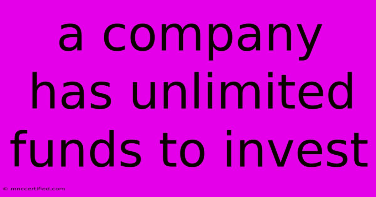 A Company Has Unlimited Funds To Invest