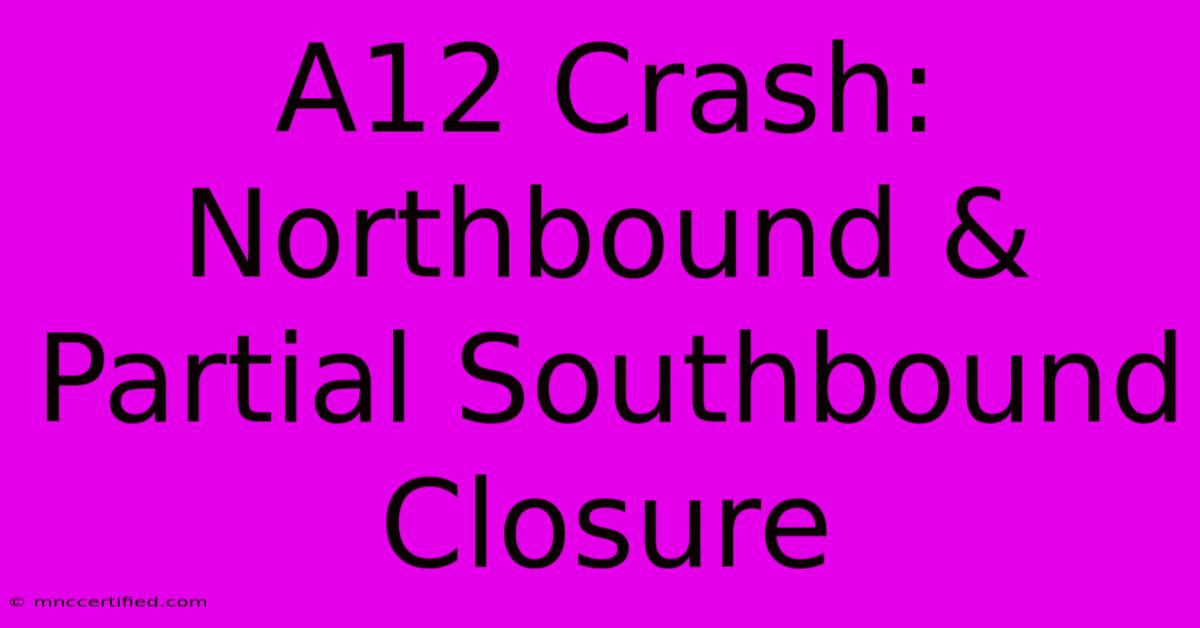 A12 Crash: Northbound & Partial Southbound Closure