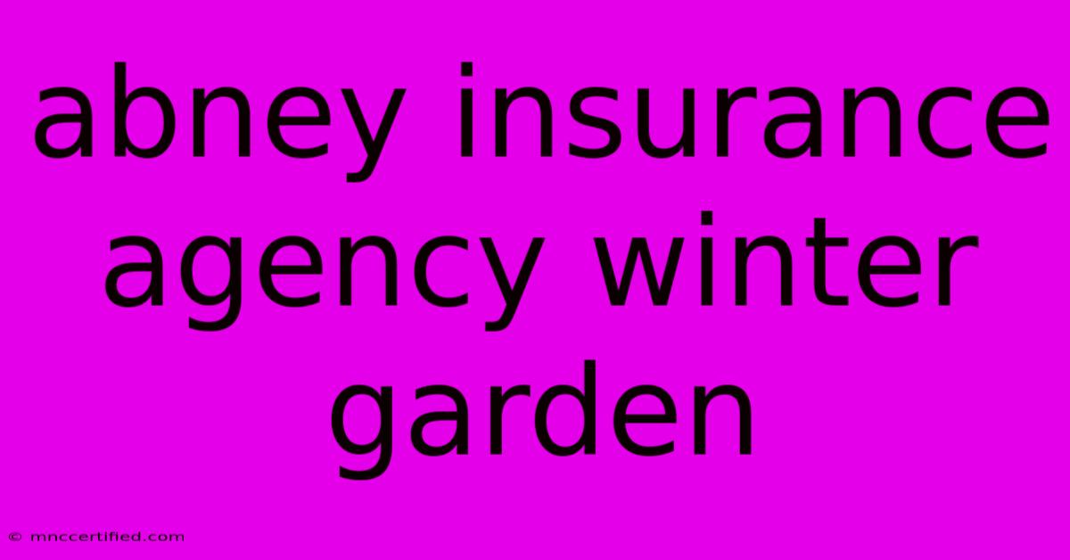 Abney Insurance Agency Winter Garden