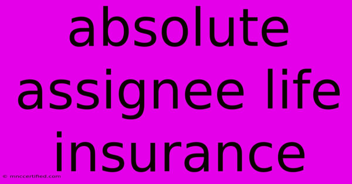 Absolute Assignee Life Insurance