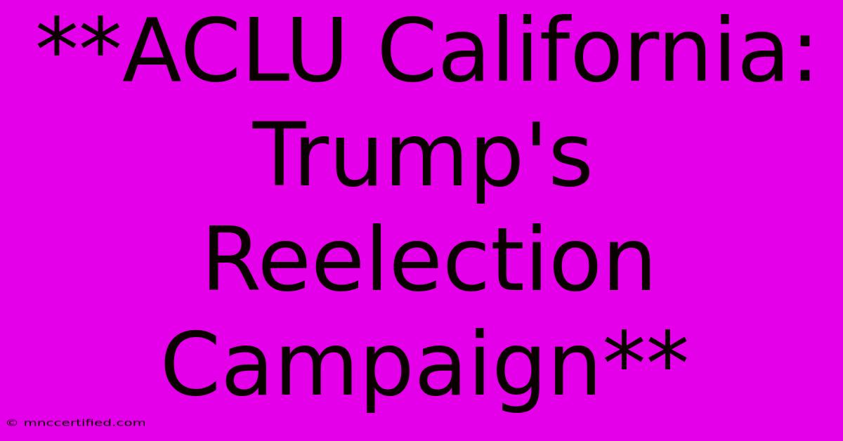 **ACLU California: Trump's Reelection Campaign**