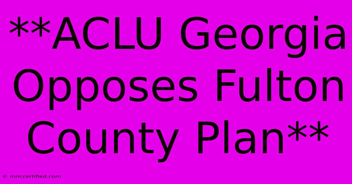 **ACLU Georgia Opposes Fulton County Plan**