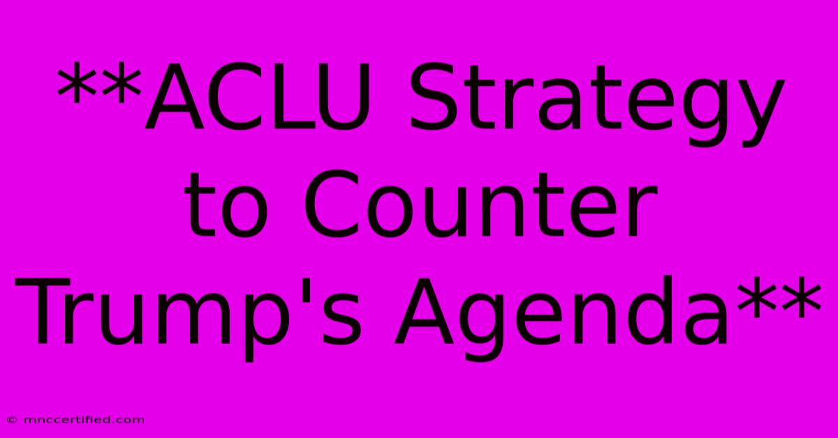 **ACLU Strategy To Counter Trump's Agenda**