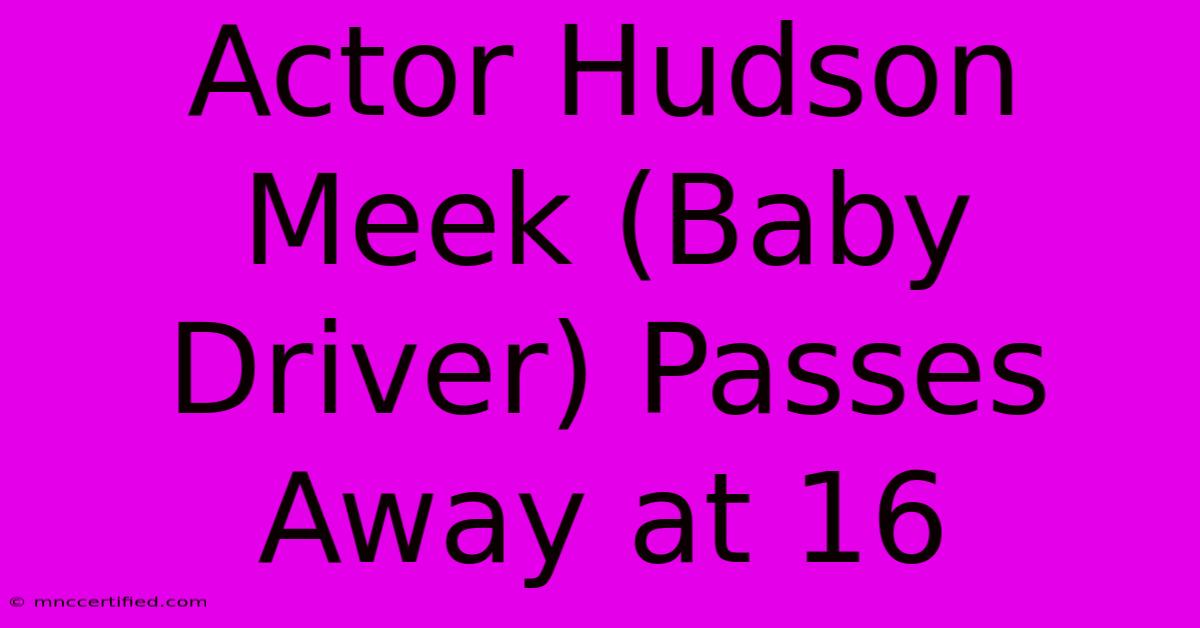 Actor Hudson Meek (Baby Driver) Passes Away At 16