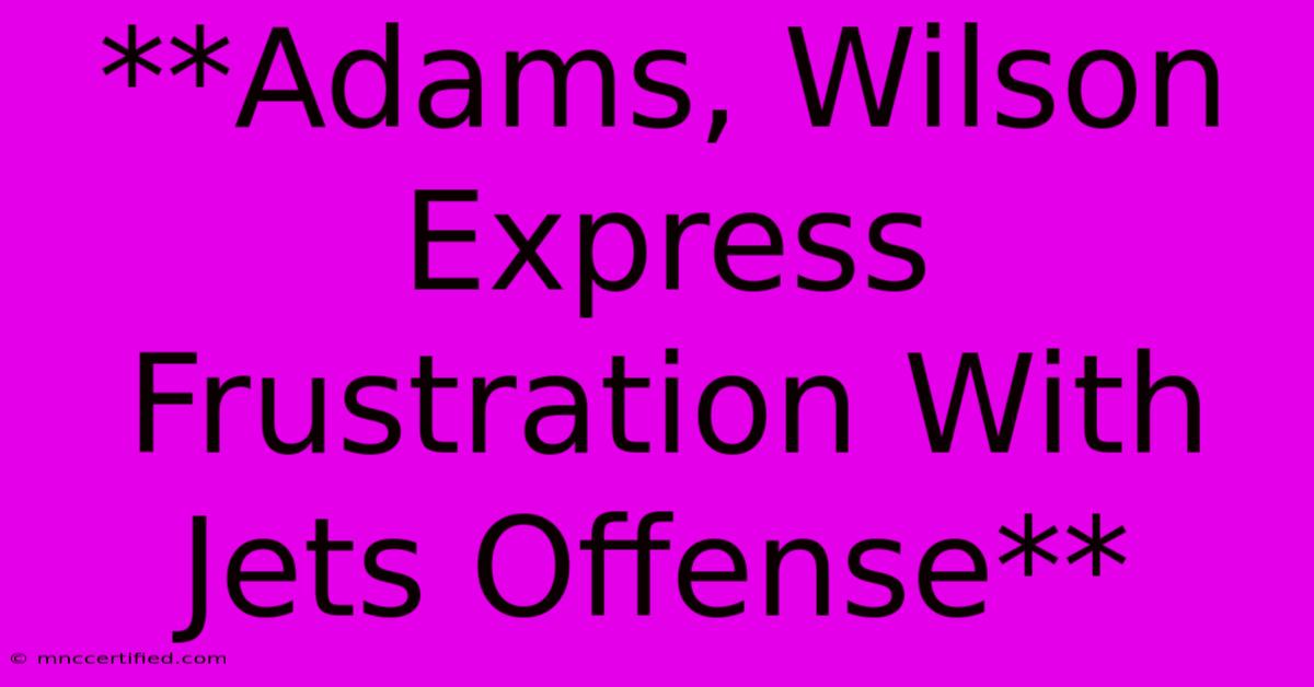 **Adams, Wilson Express Frustration With Jets Offense**