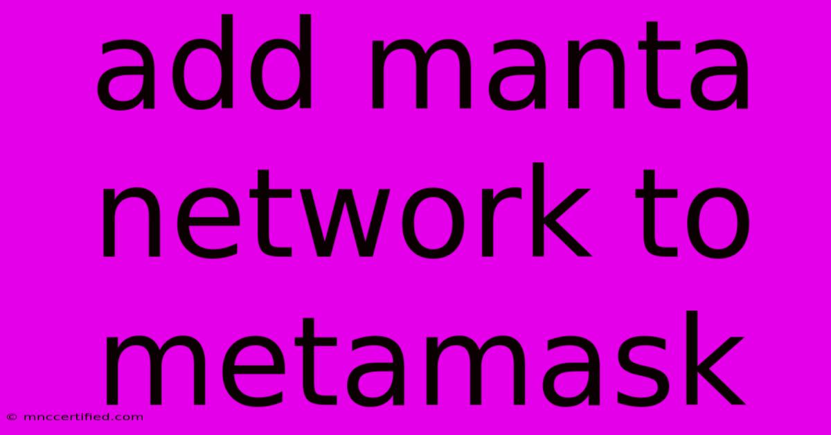 Add Manta Network To Metamask