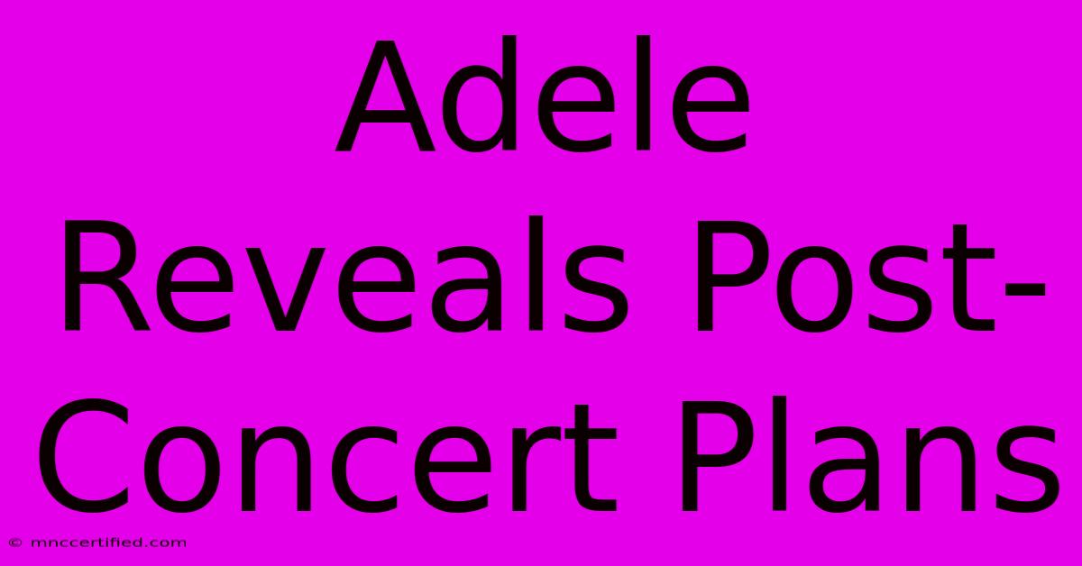 Adele Reveals Post-Concert Plans