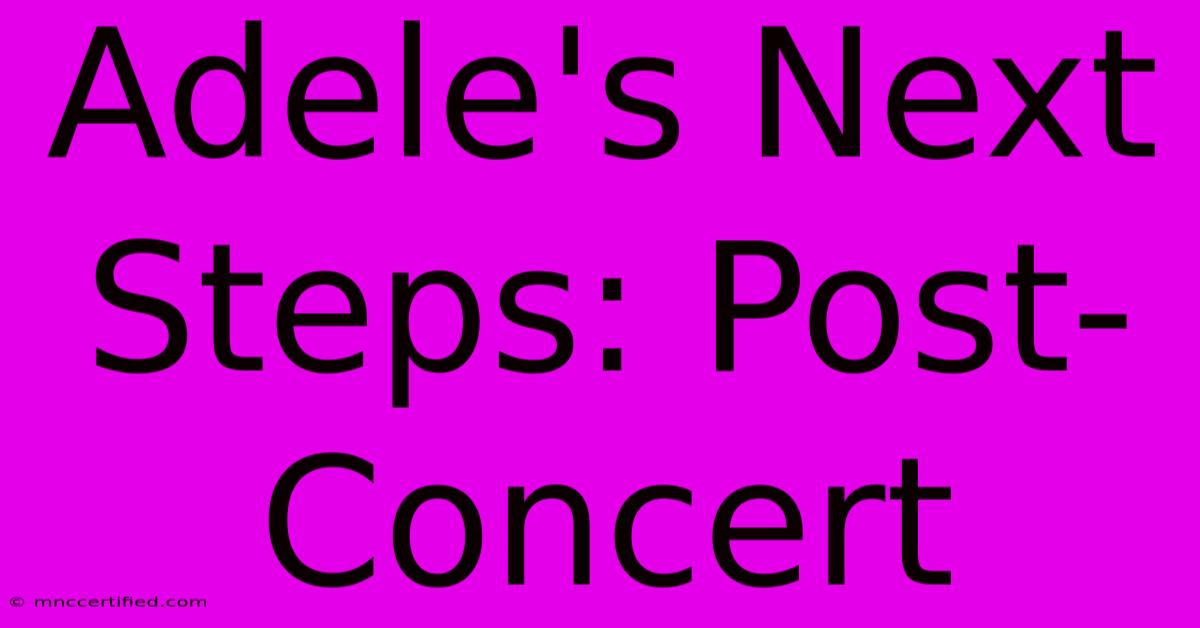 Adele's Next Steps: Post-Concert