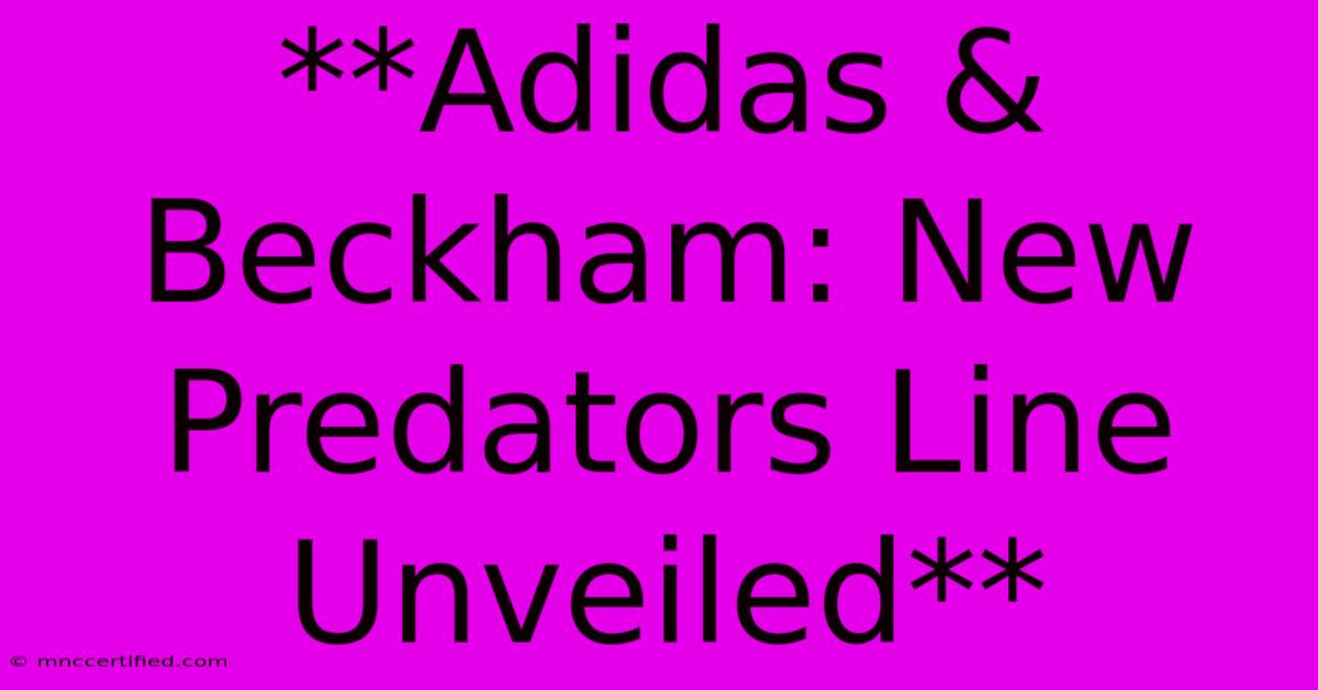 **Adidas & Beckham: New Predators Line Unveiled**