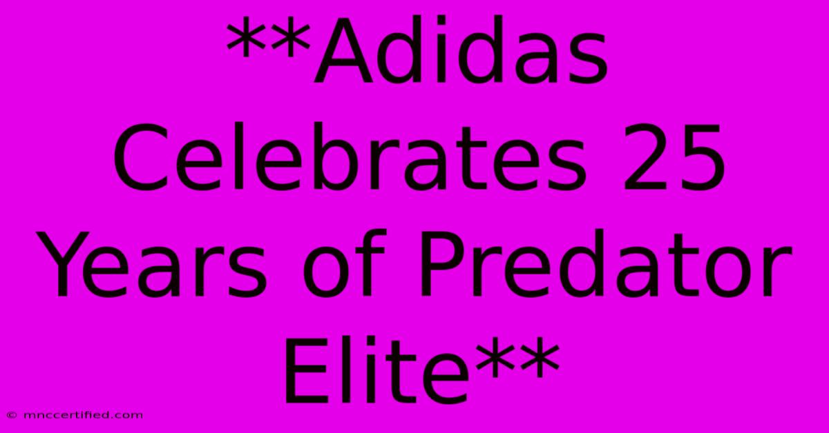 **Adidas Celebrates 25 Years Of Predator Elite**