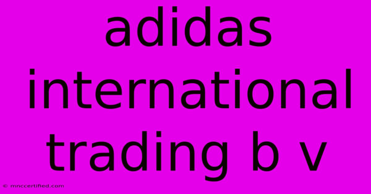 Adidas International Trading B V 