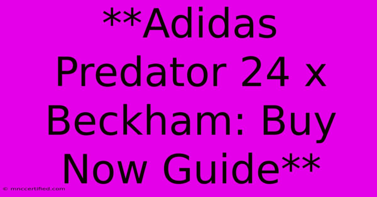 **Adidas Predator 24 X Beckham: Buy Now Guide** 