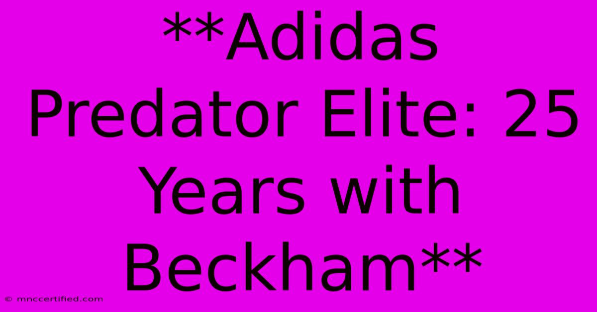 **Adidas Predator Elite: 25 Years With Beckham**