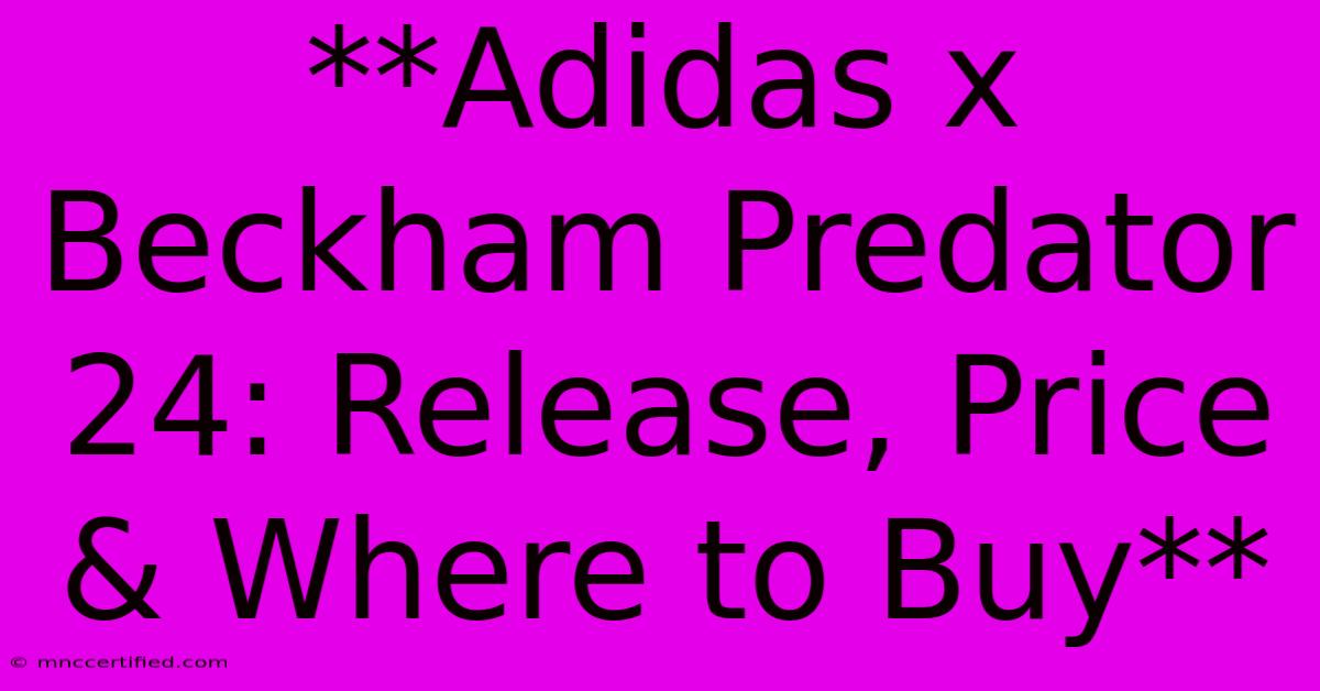 **Adidas X Beckham Predator 24: Release, Price & Where To Buy**