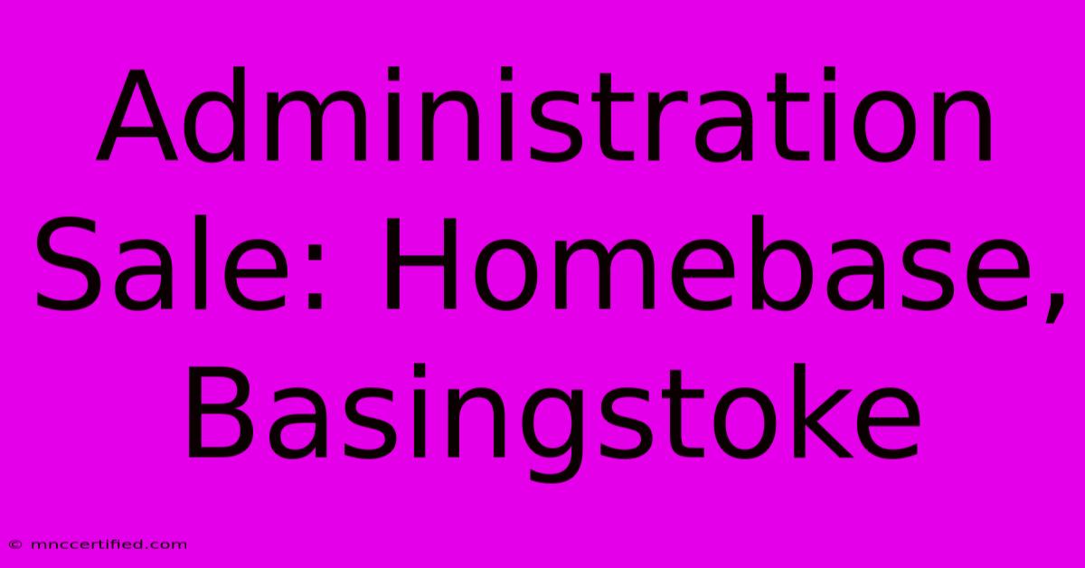 Administration Sale: Homebase, Basingstoke