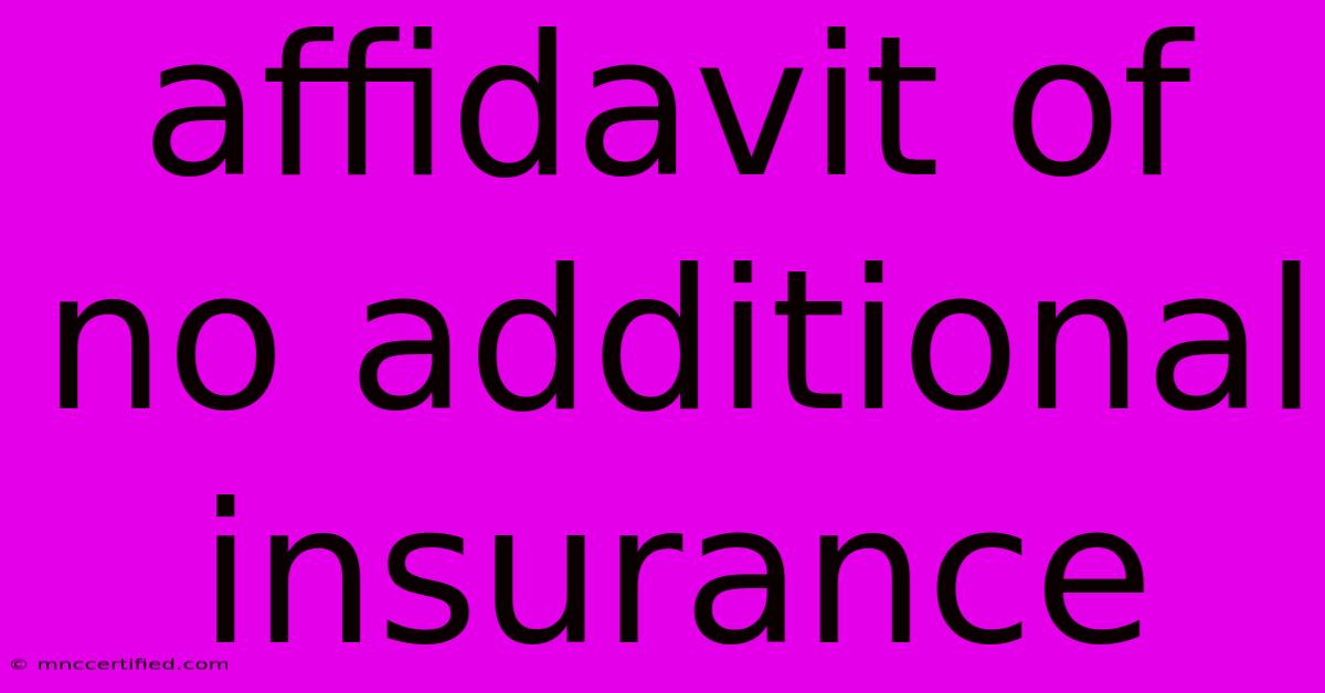 Affidavit Of No Additional Insurance