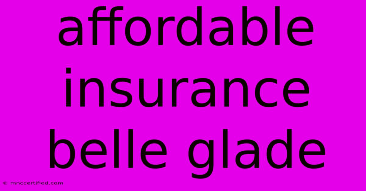 Affordable Insurance Belle Glade