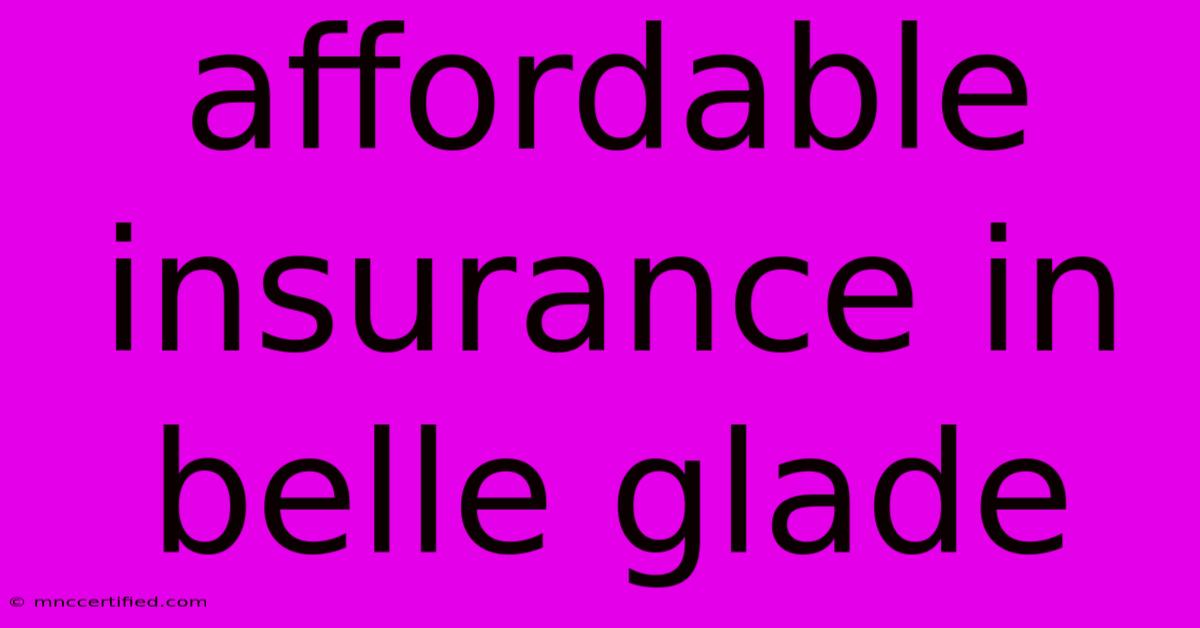 Affordable Insurance In Belle Glade