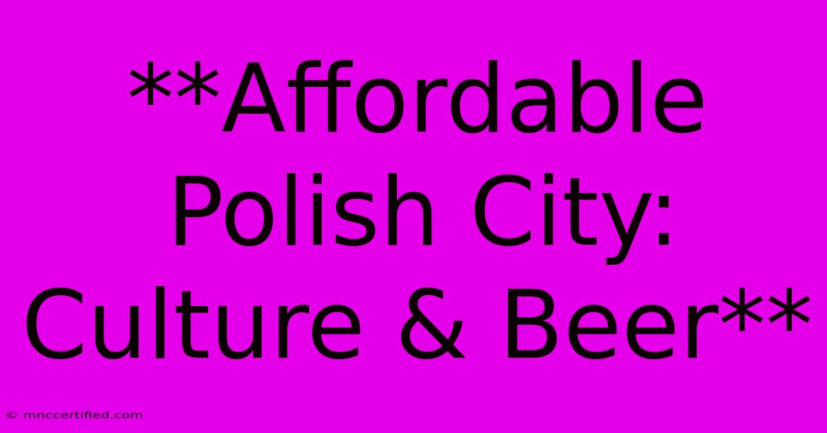 **Affordable Polish City: Culture & Beer**