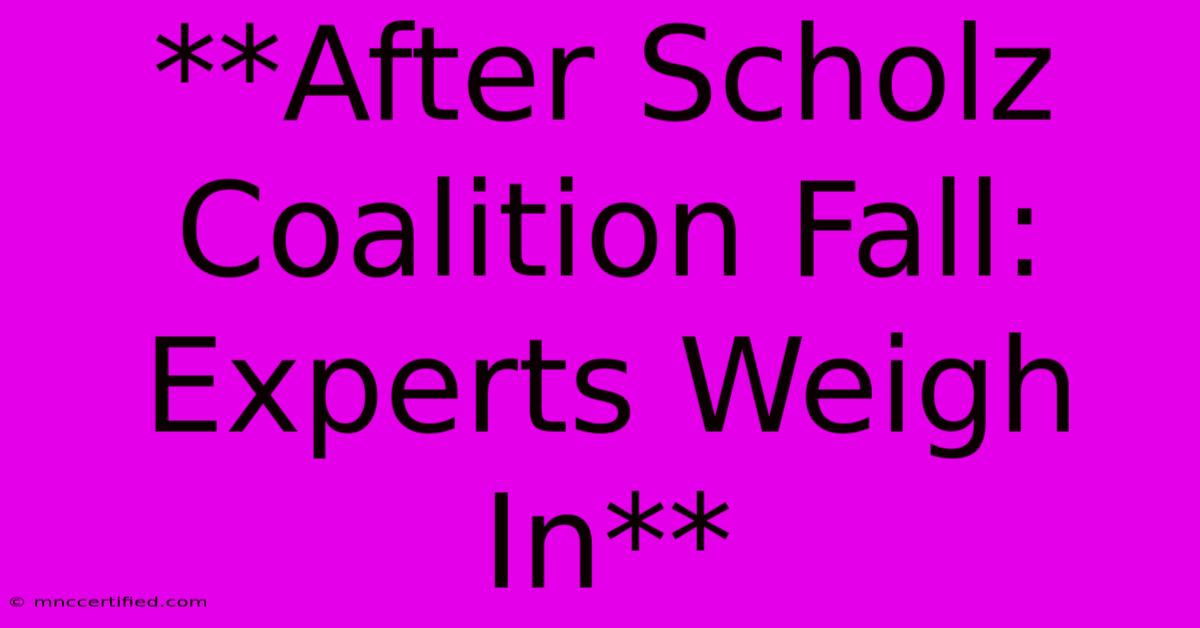 **After Scholz Coalition Fall: Experts Weigh In**