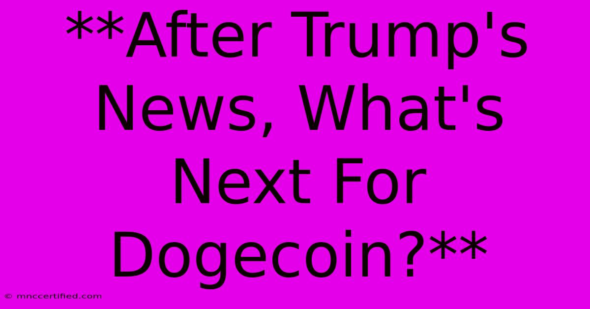 **After Trump's News, What's Next For Dogecoin?** 