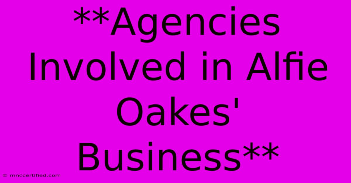 **Agencies Involved In Alfie Oakes' Business**